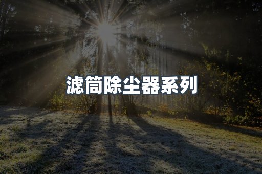 滤筒除尘器系列